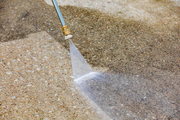 Trusted Arbutus, MD Pressure Washing Experts